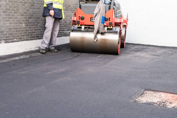 Best Driveway Maintenance Services  in Lexington, TX